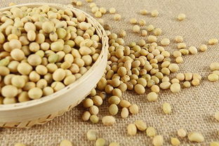 小小杂粮营养多，守护健康“粮”心推荐