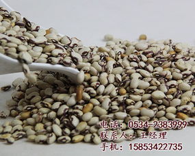 东旭粮油·五谷杂粮养生坊 重塑健康饮食新篇章